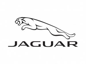 skup aut Jaguar